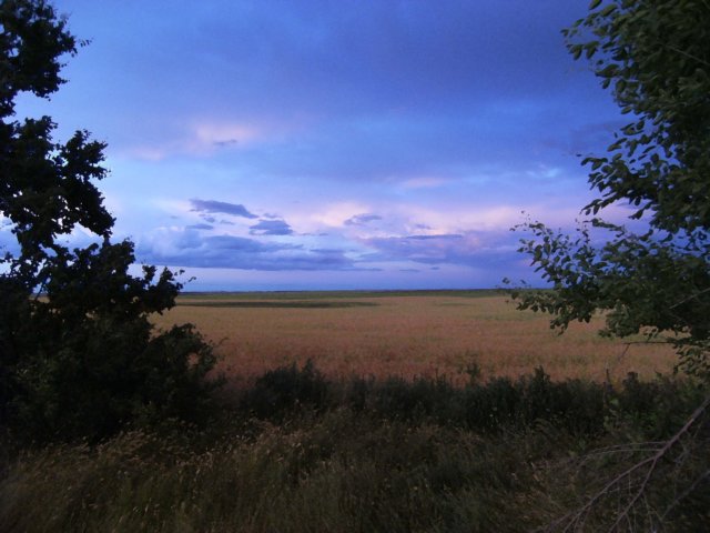 saskatchewanfarmfield.jpg